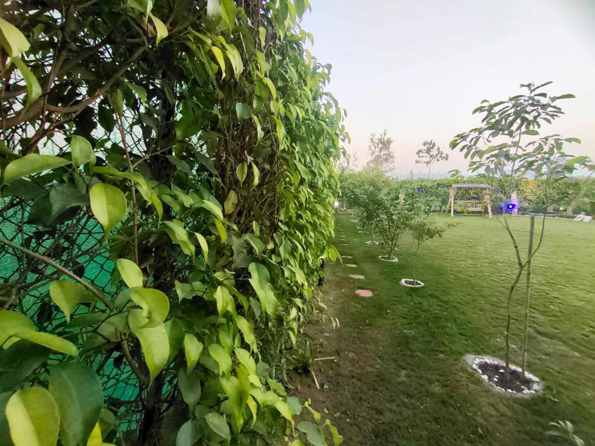 Shaw Estate-Farm House For A Small Parties-Jp Farm Greater Noida Dış mekan fotoğraf